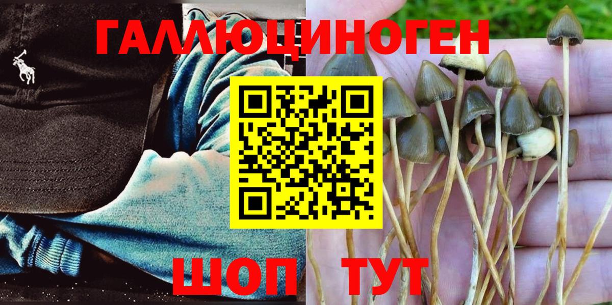 Псилоцибиновые грибы Magic Shrooms Можайск