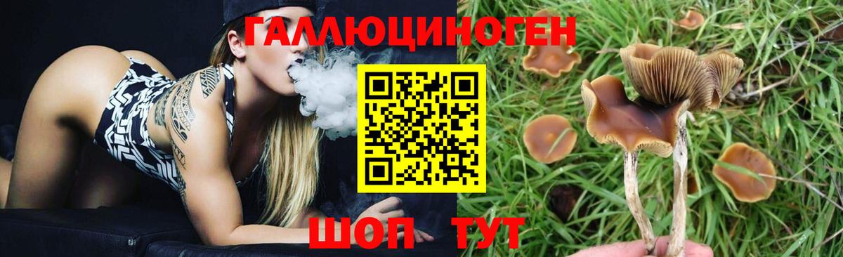Псилоцибиновые грибы MAGIC MUSHROOMS  Вход с VPN  Можайск 
